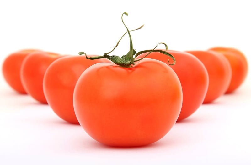 Summer Crops