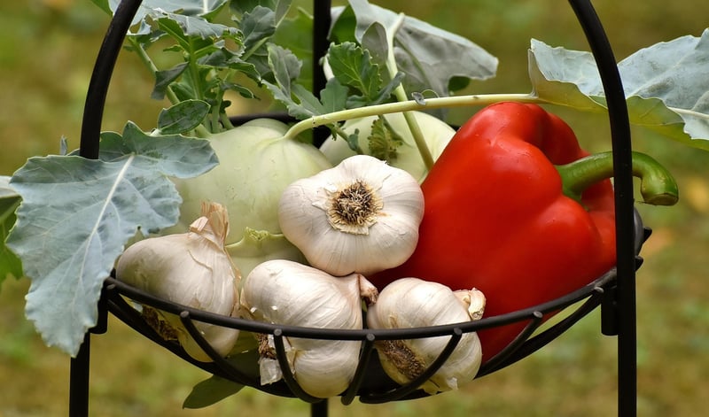 Winter crops