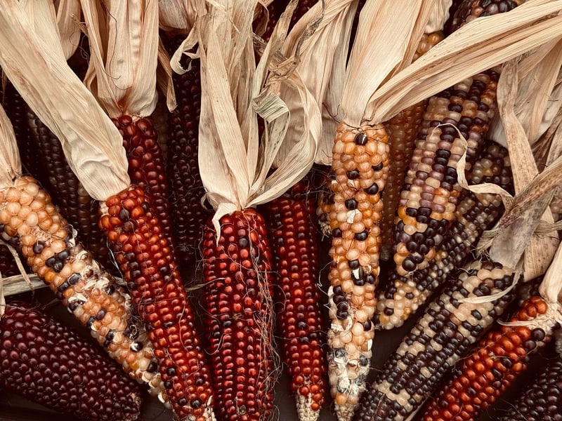 Fall crops